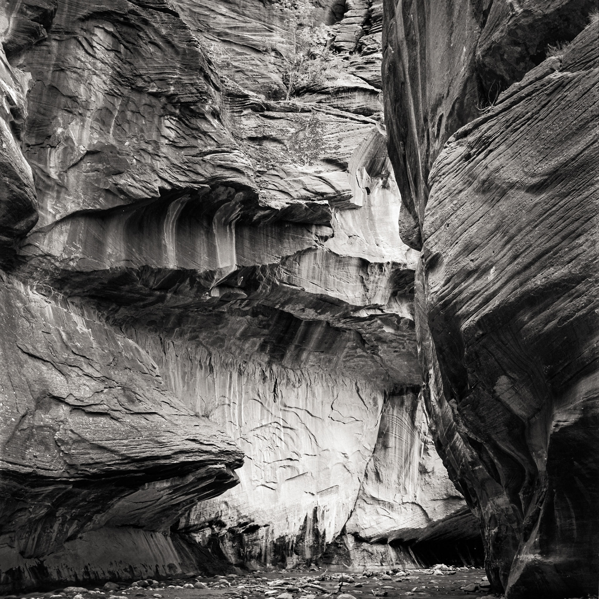 Zion Canyon, 1989. scanned 6x6 negative.