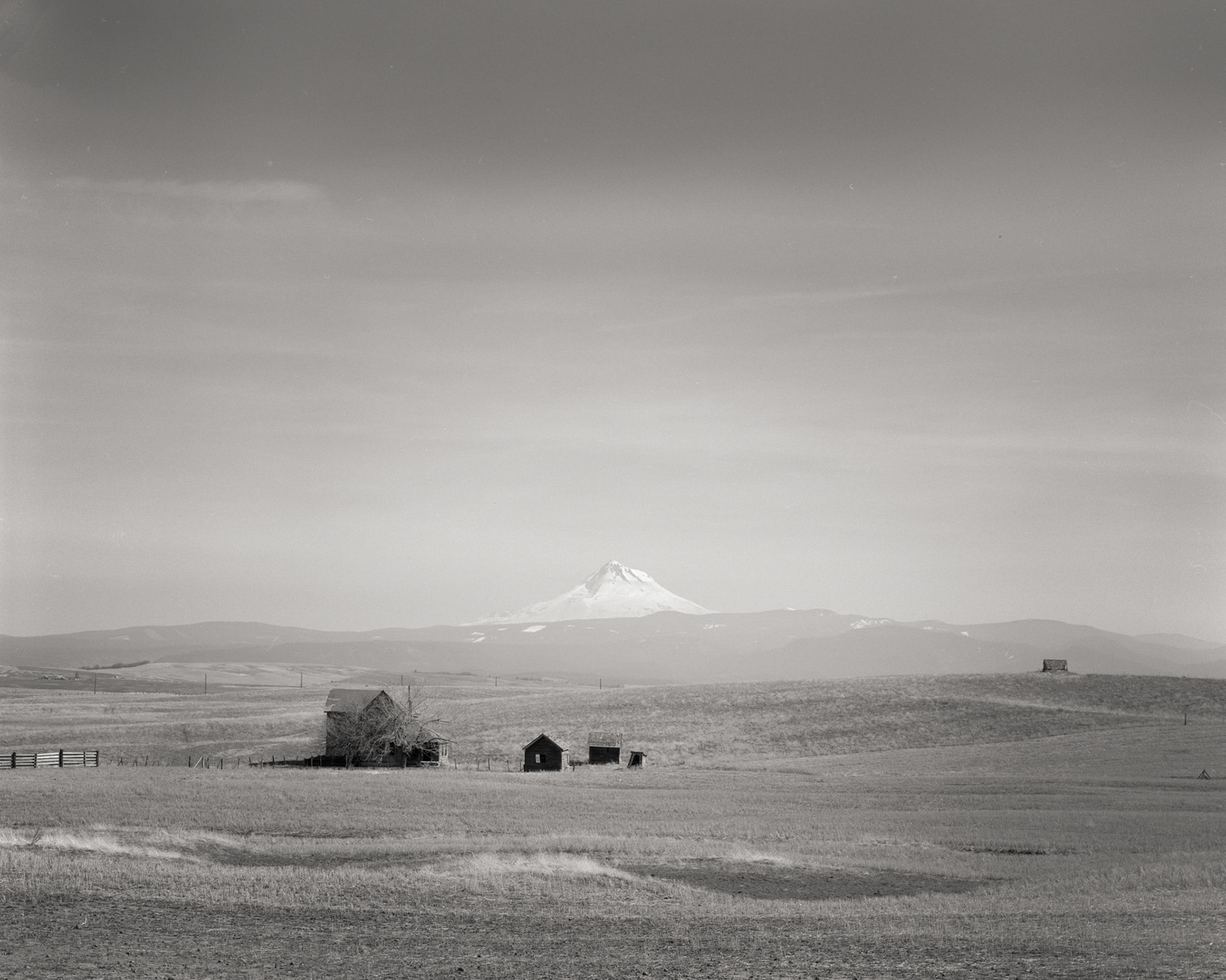 Oregon Interior, Mount Hood, 1988. Scanned 4x5 neg