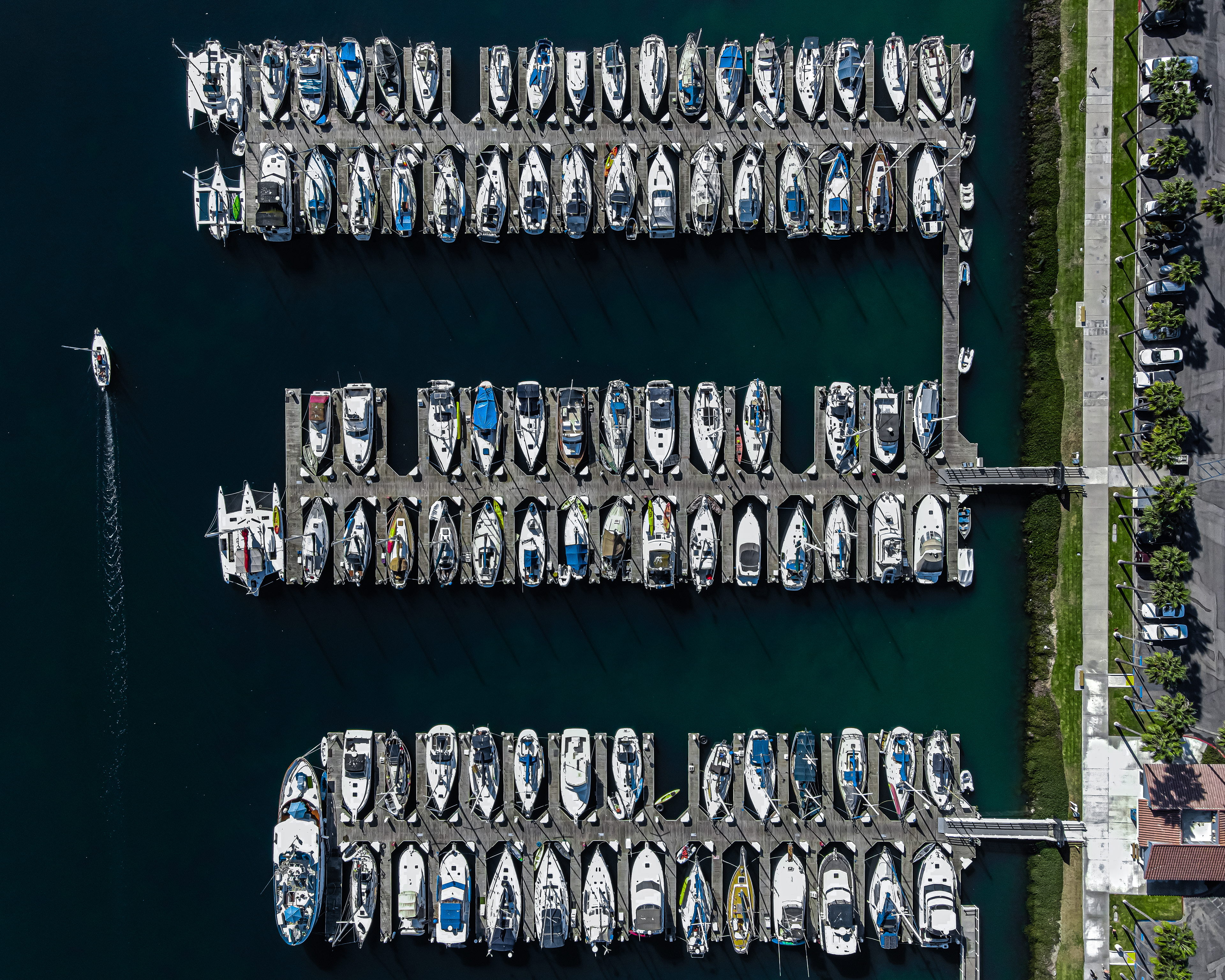 Top Down Shot of the Harbor