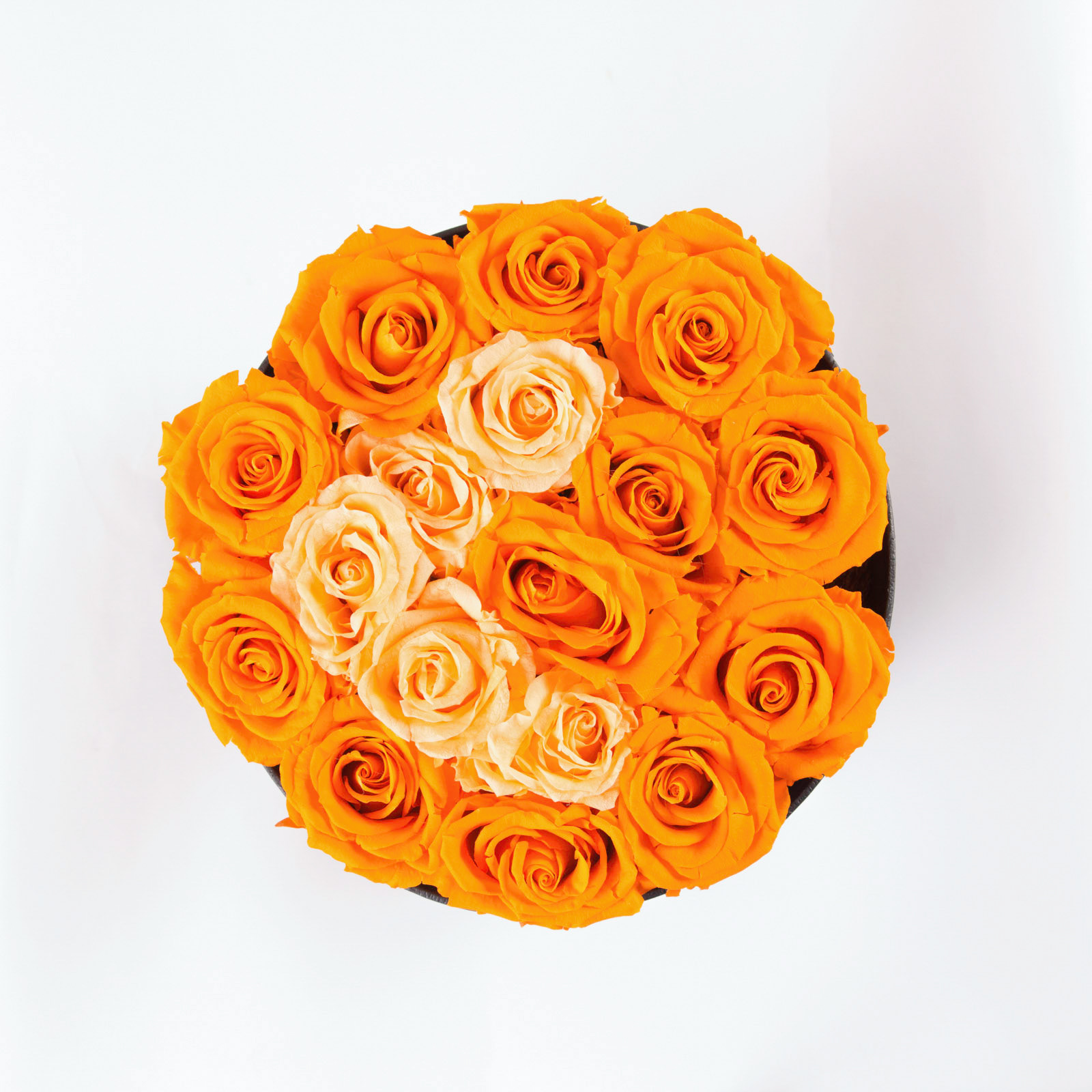Atelier 19 - Roses Eternelles
