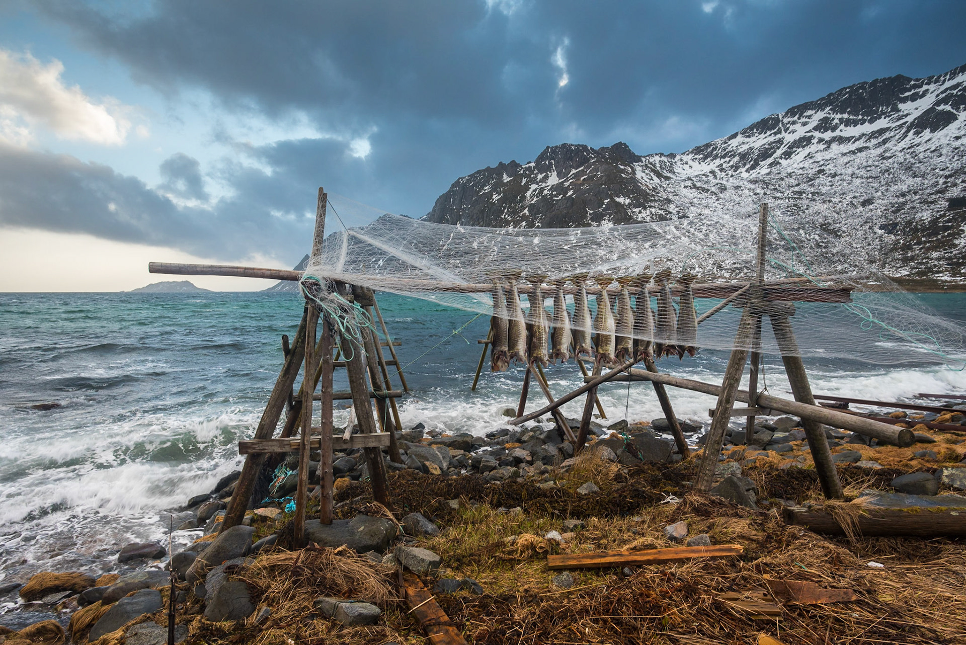 Drying cod fish on Skjelfjorden