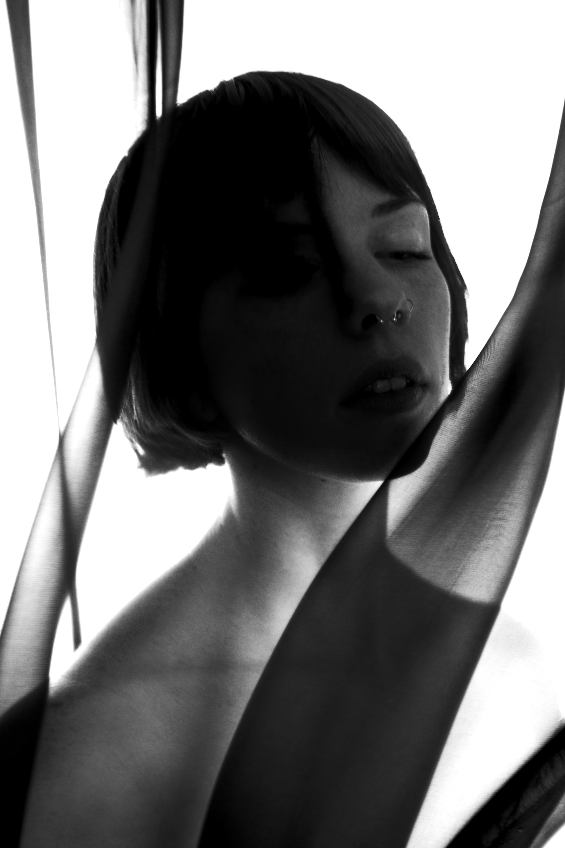 Mitzi, 2019
