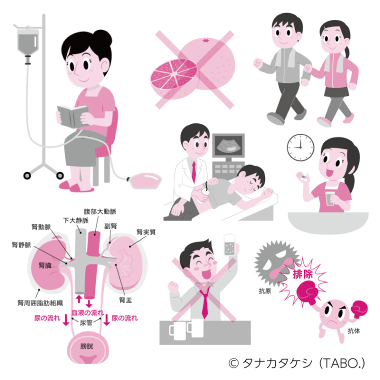 イラストレーター タナカタケシ Tabo ３dイラスト 児童書 絵本 こどもイラスト 書籍 腎移植 あなたの疑問にすべて答えます 18 保存版 イラスト