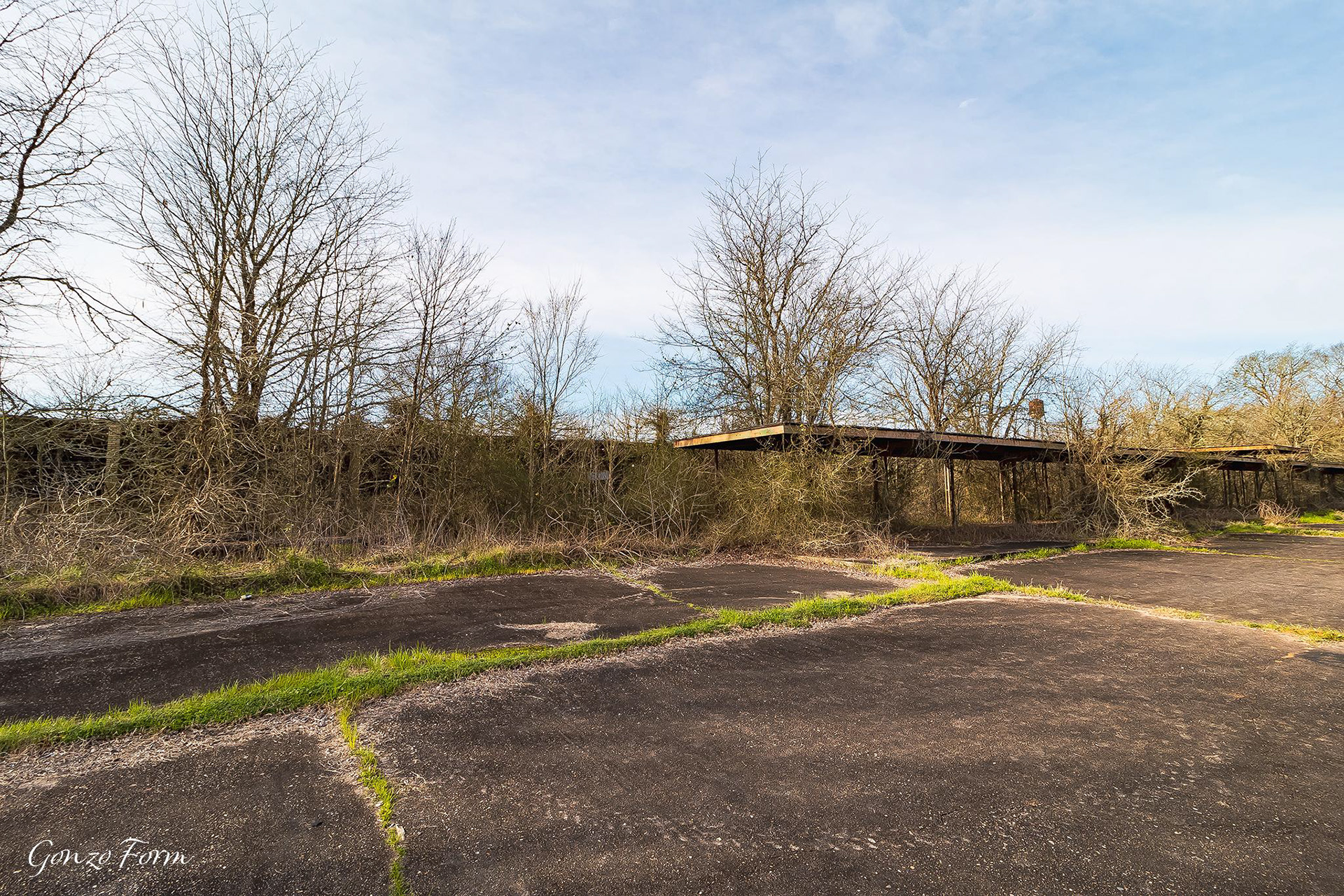 Gonzo Form Old Ellerbe Road School