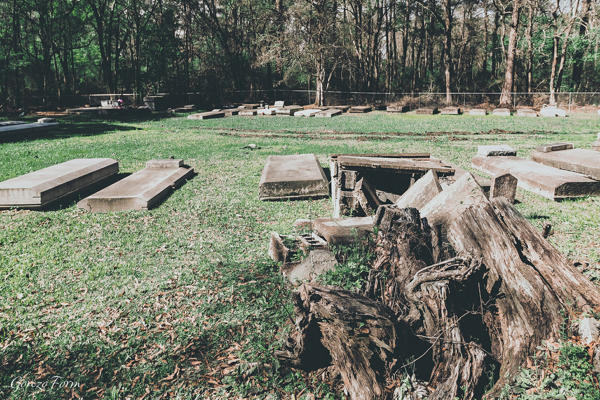 Gonzo Form Morning Star Cemetery