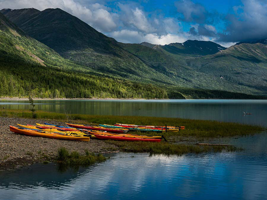 225 ALASCA