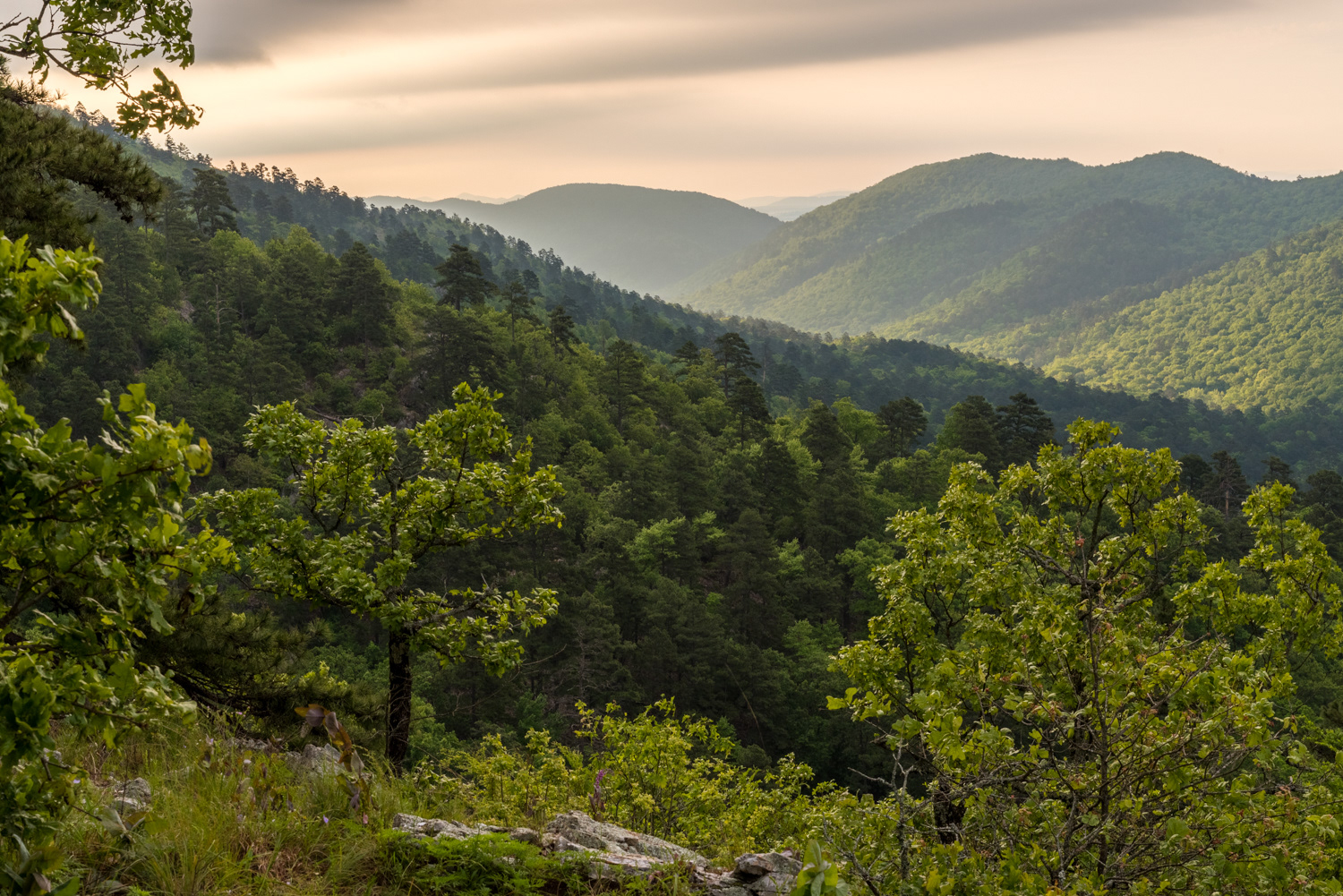 Ouachita Mts., AR