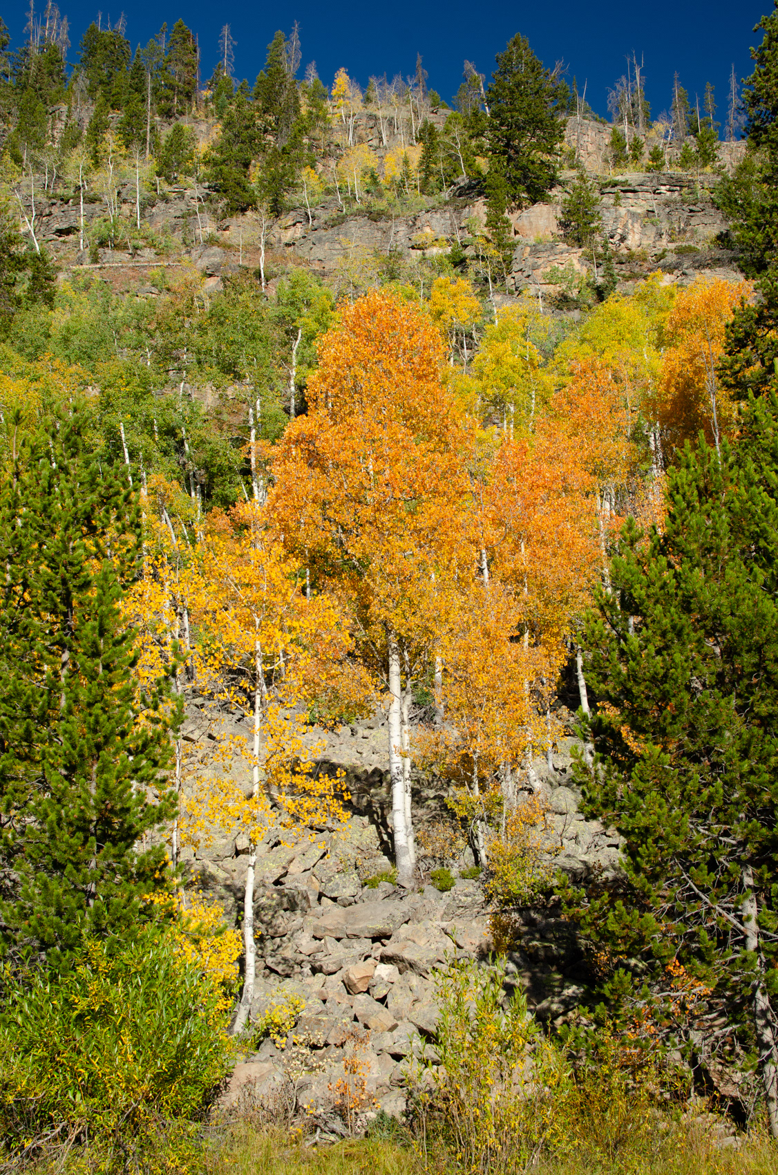 Uinta Mountains, UT