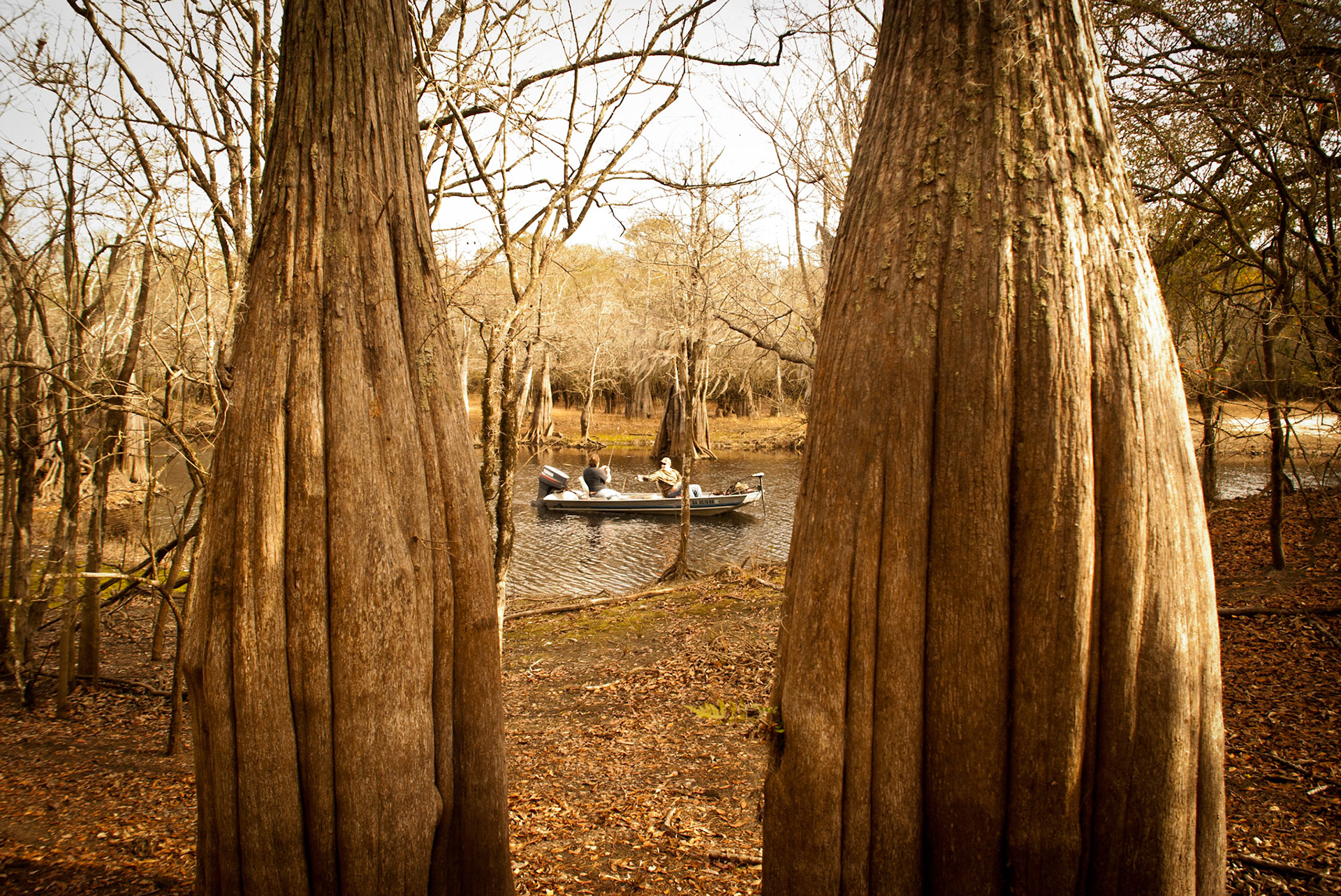Satilla River Fishing