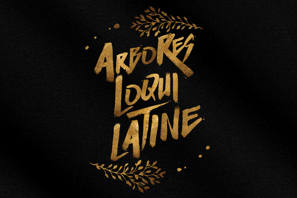 Redbubble - The Trees Speak Latin // Typography