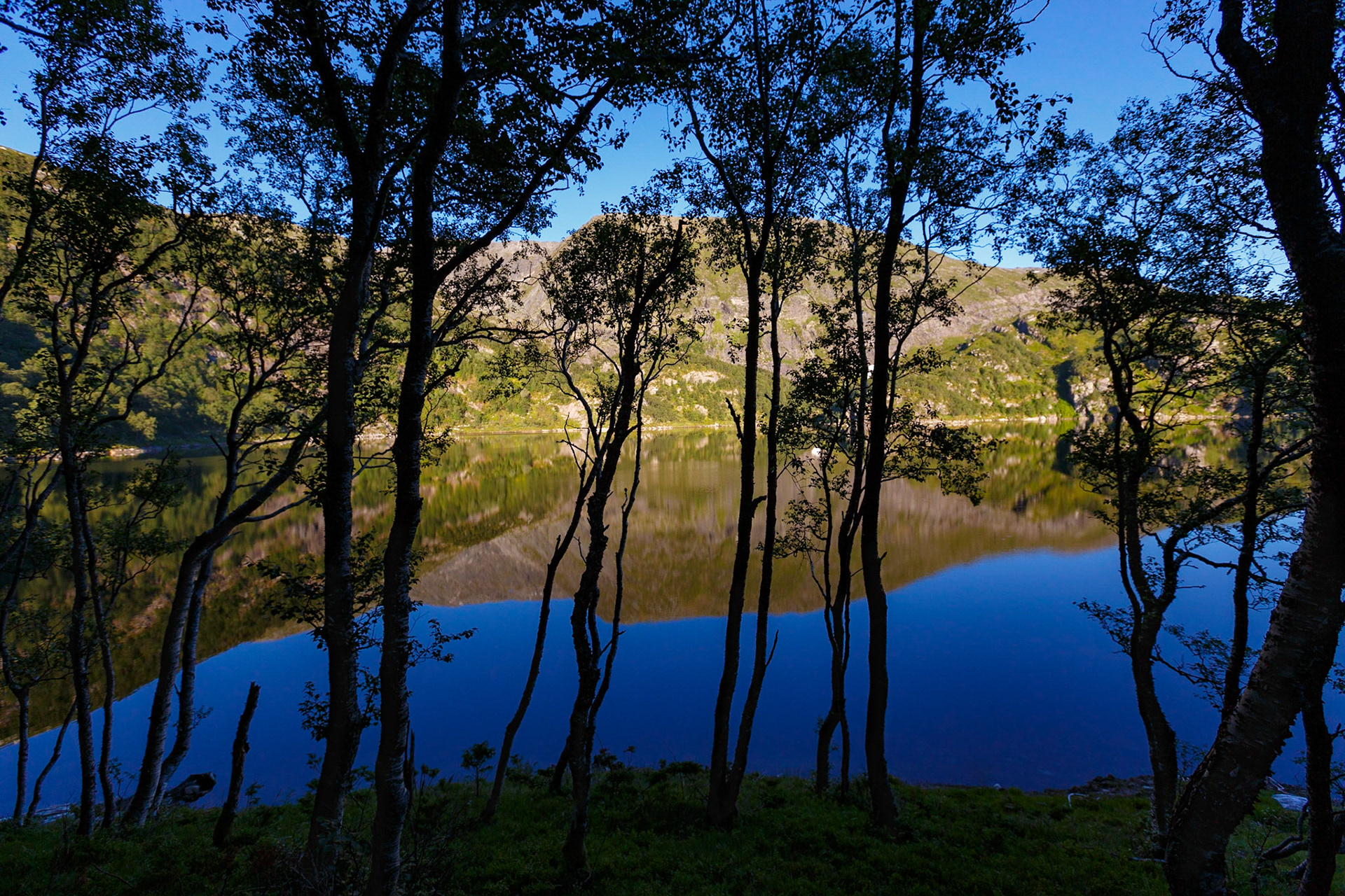 Bilde tatt fra sti som går langs Svartavatn, en av Bergens drikkevannskilder.