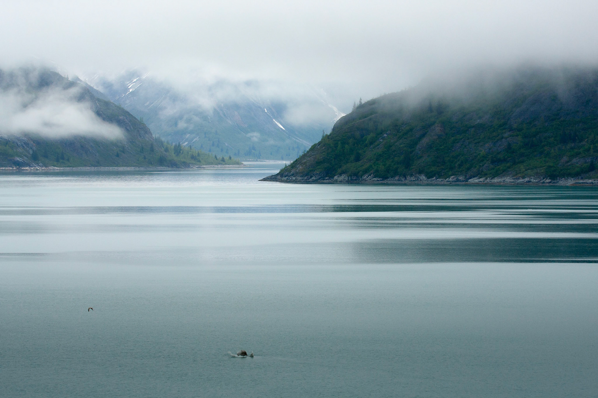 Entering Glacier Bay