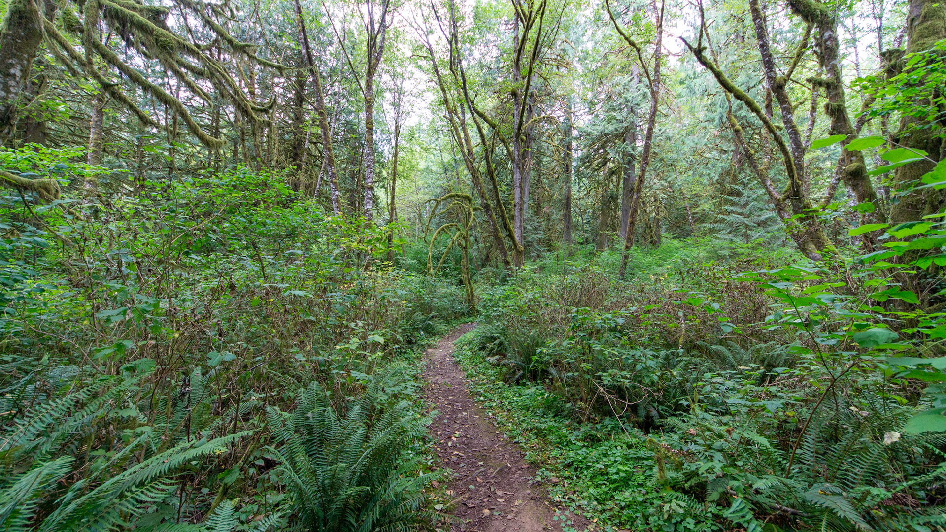 Lewis and Clark State Park