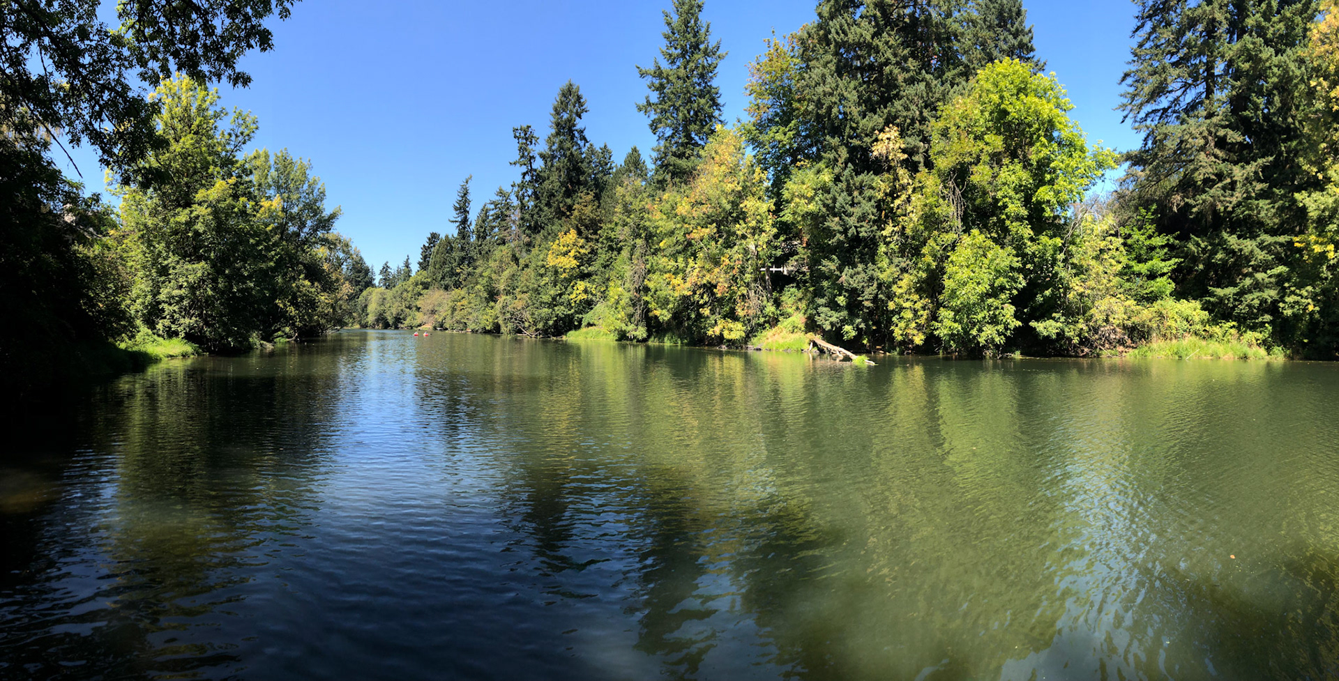 Browns Ferry Park