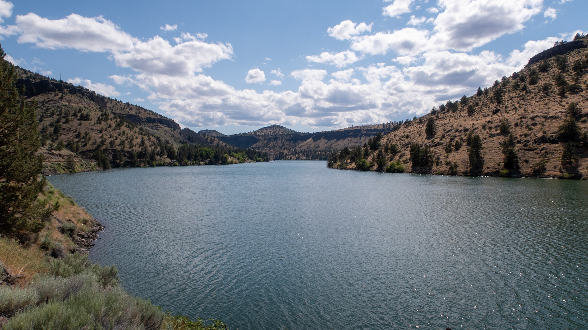 Campbell Creek