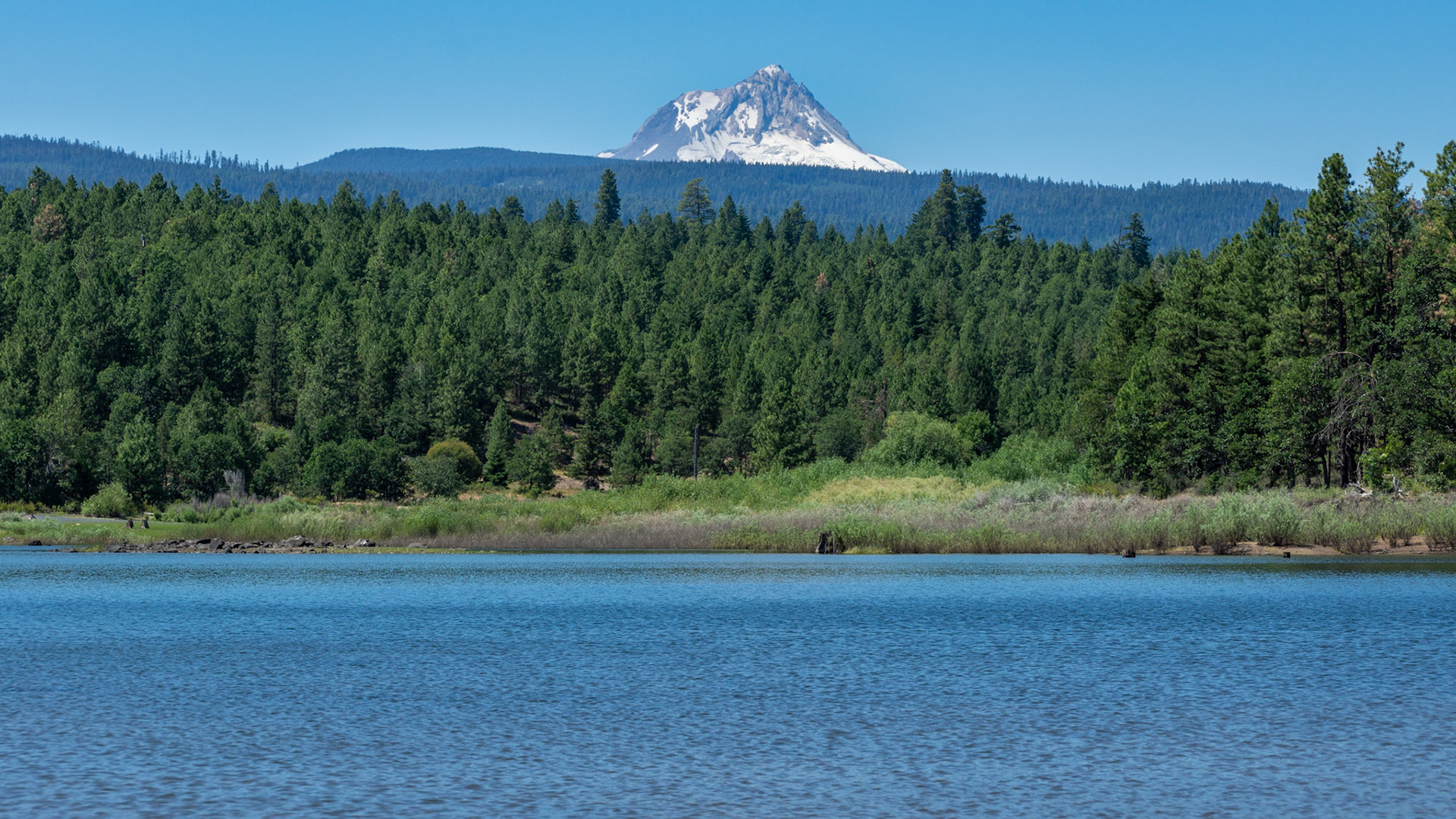 You can see from here Mount Hood, about 15 miles away.