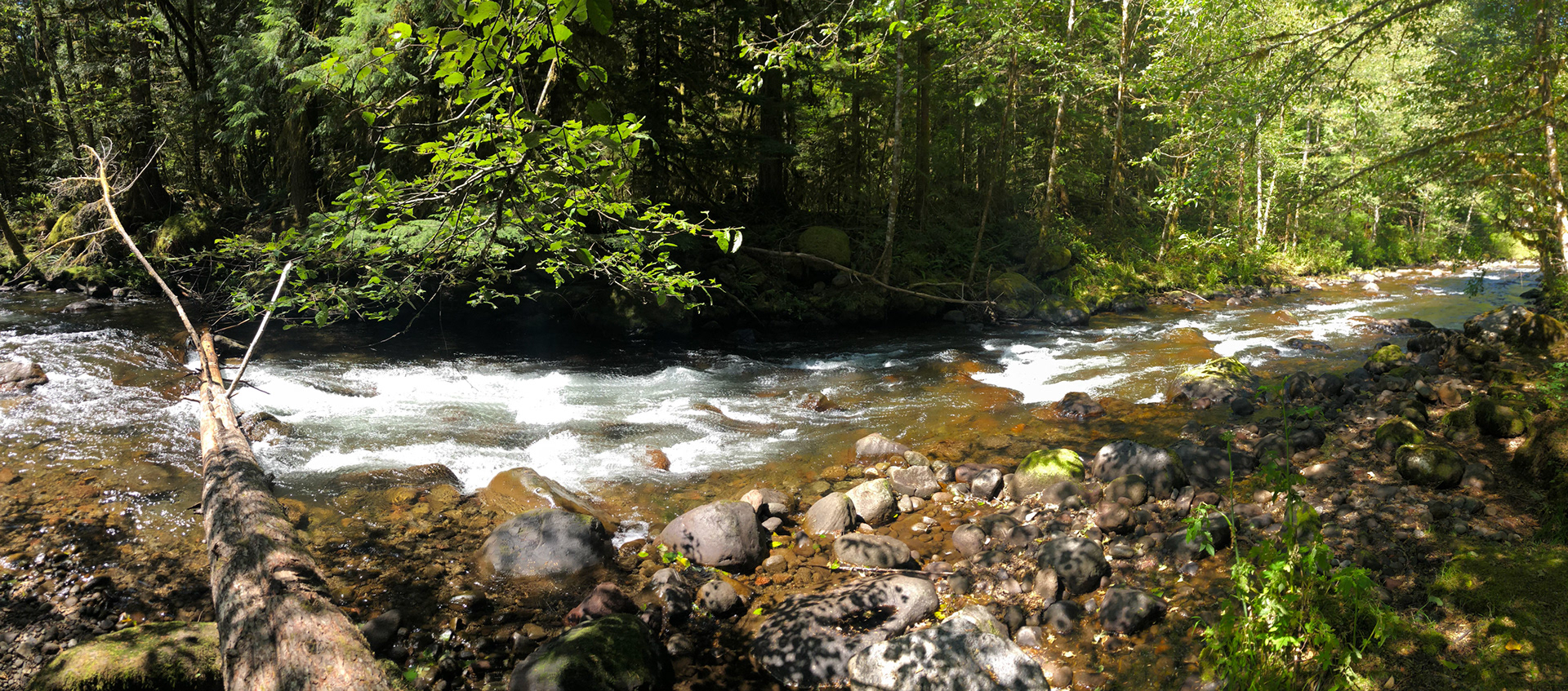 Tollgate Camp - a natural campground for around $20 a night