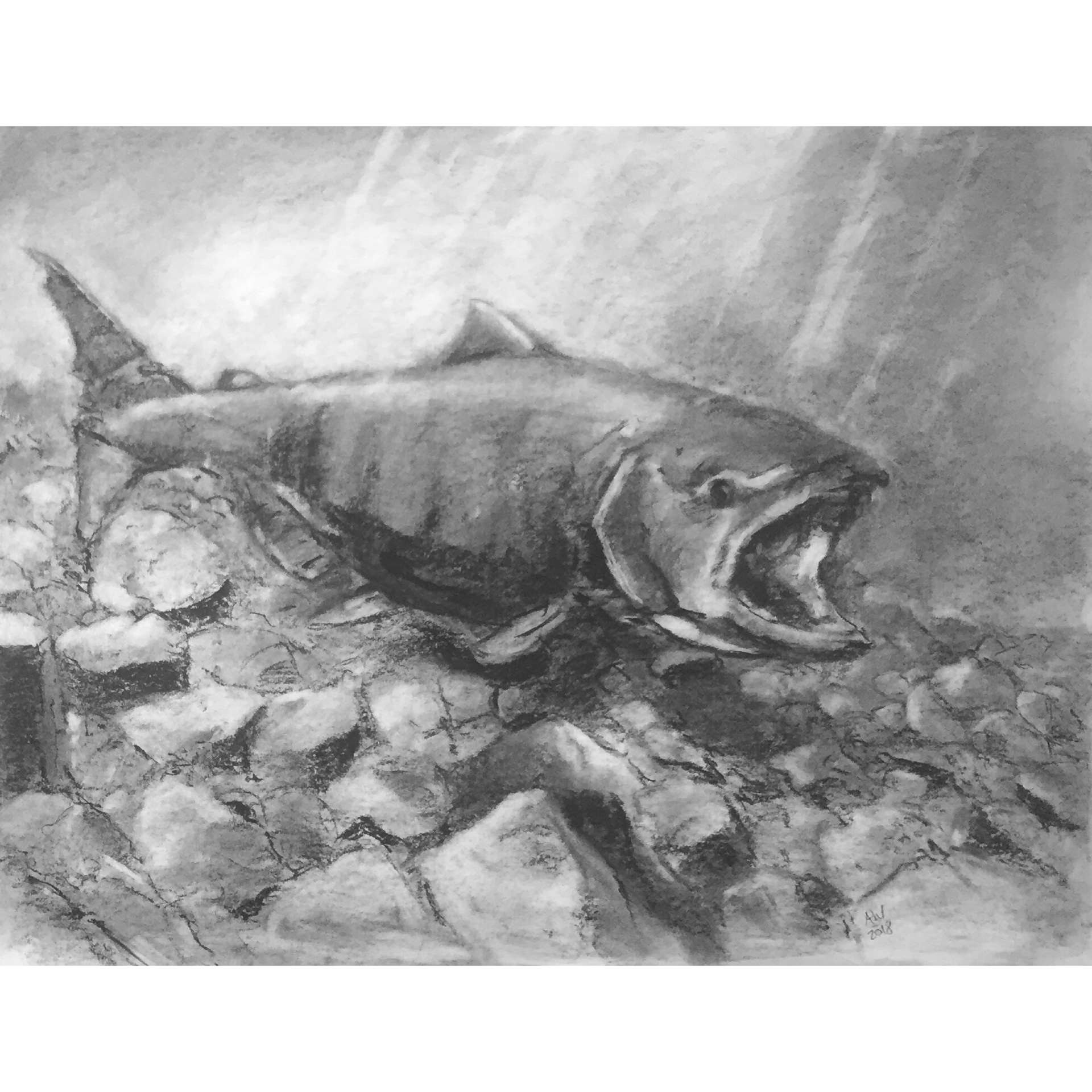 Exit, Pursued by Salmon, 2018