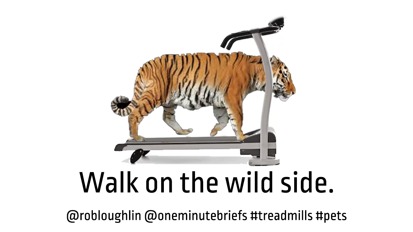 #TREADMILLS #PETS