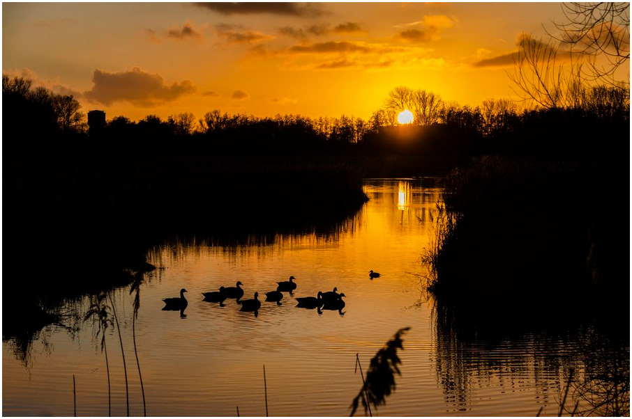 Landschappen