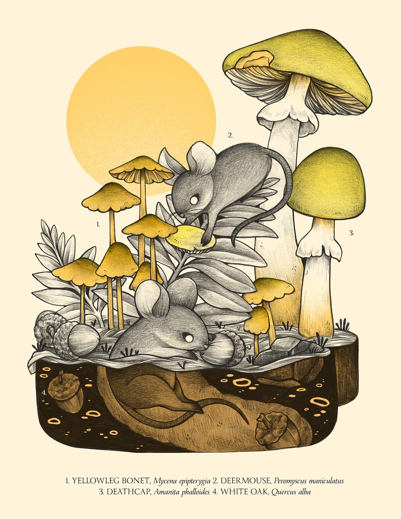 Deathcap risograph Print