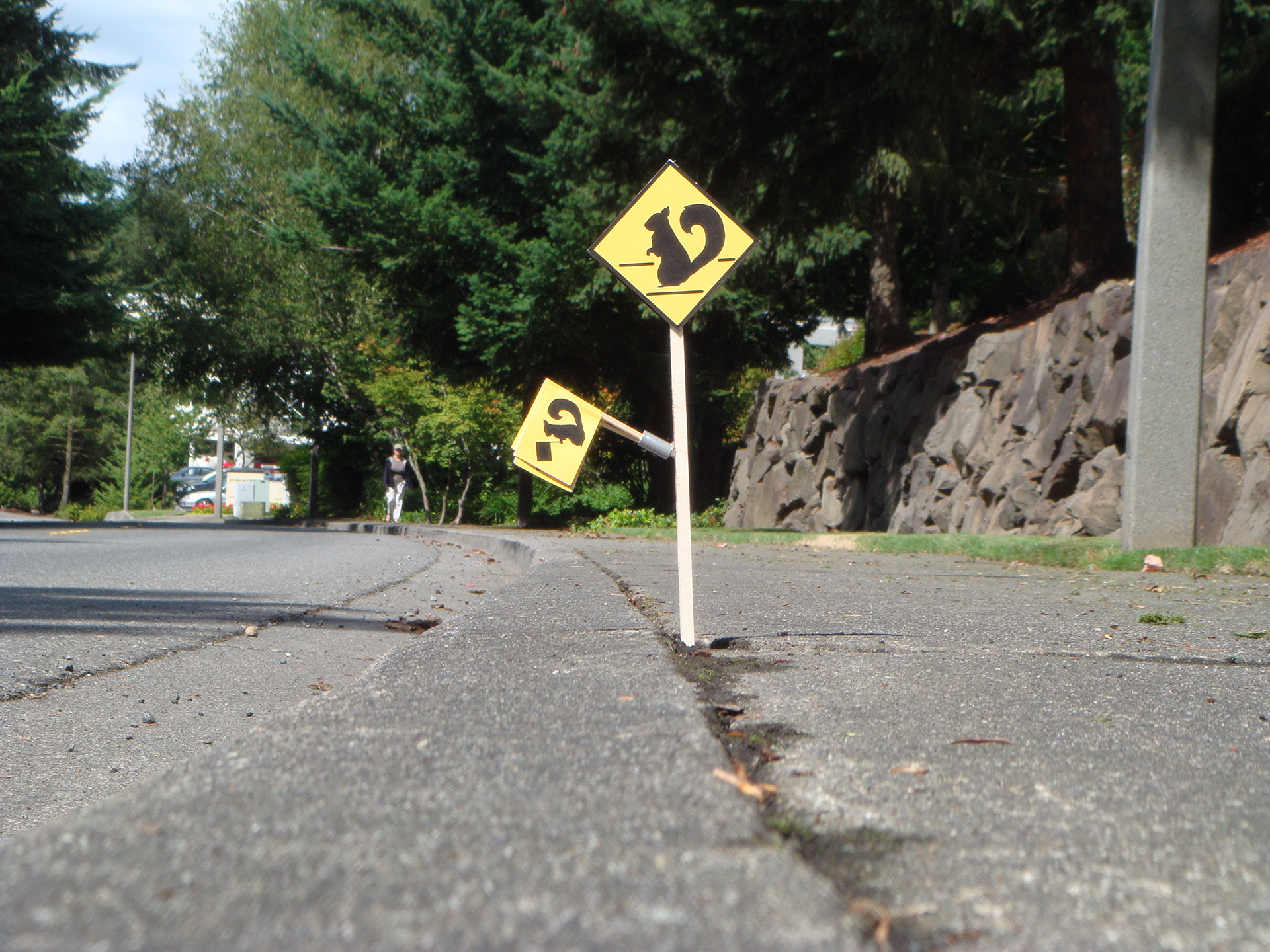 Because sometimes squirrels need help safely crossing the street.