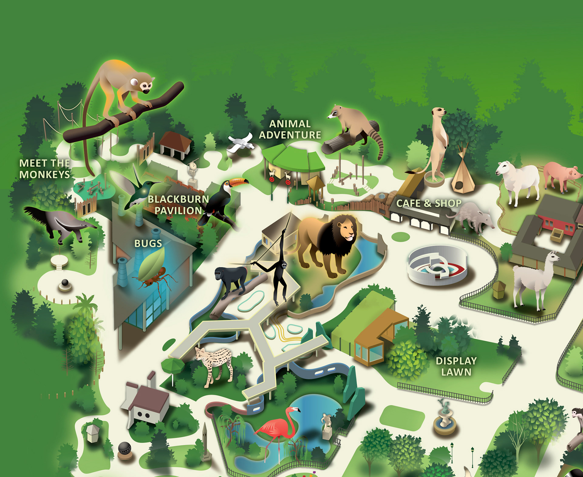 Design Your Own Zoo Map