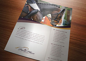 Park Place Farms Ad, Social Circle GA