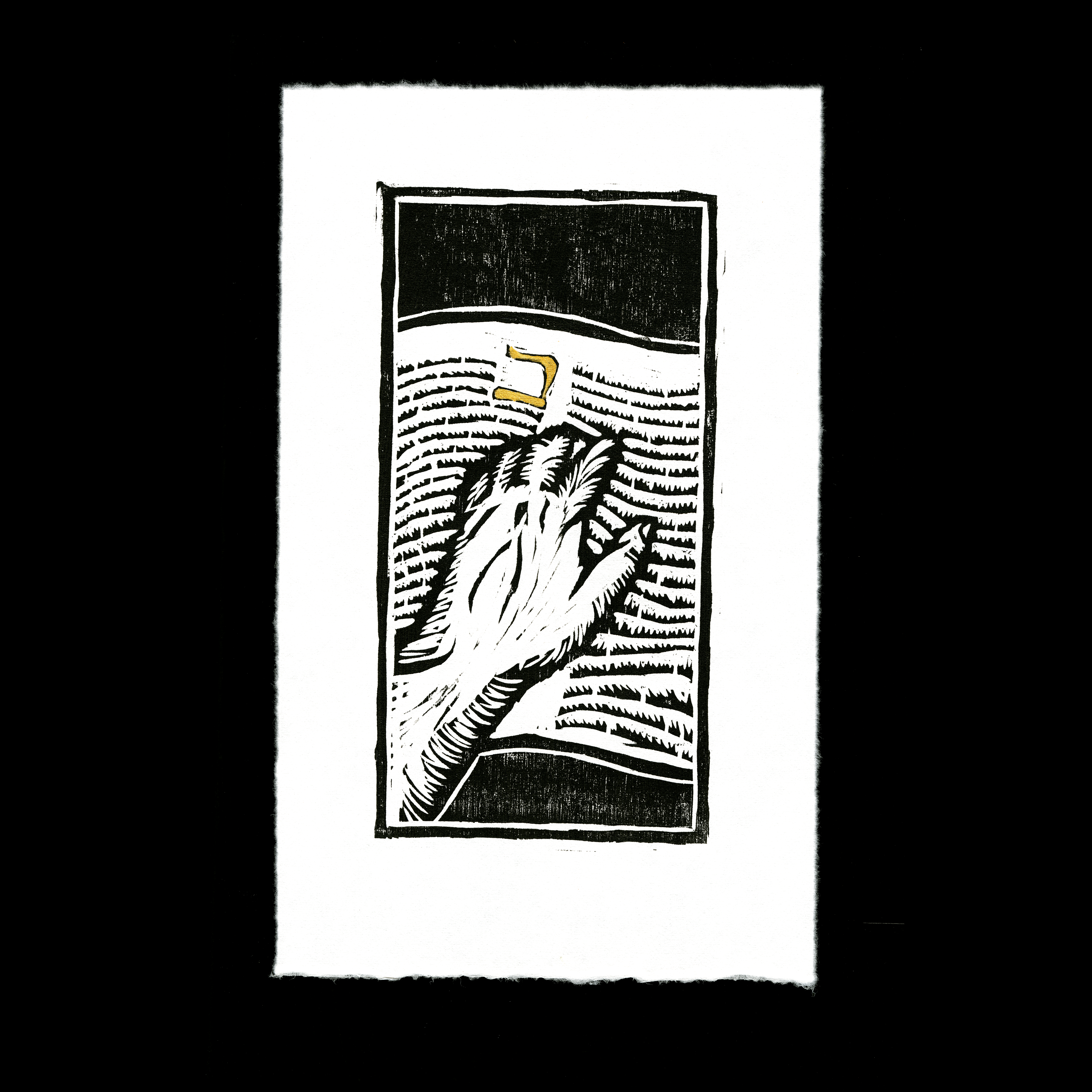 "Finding"