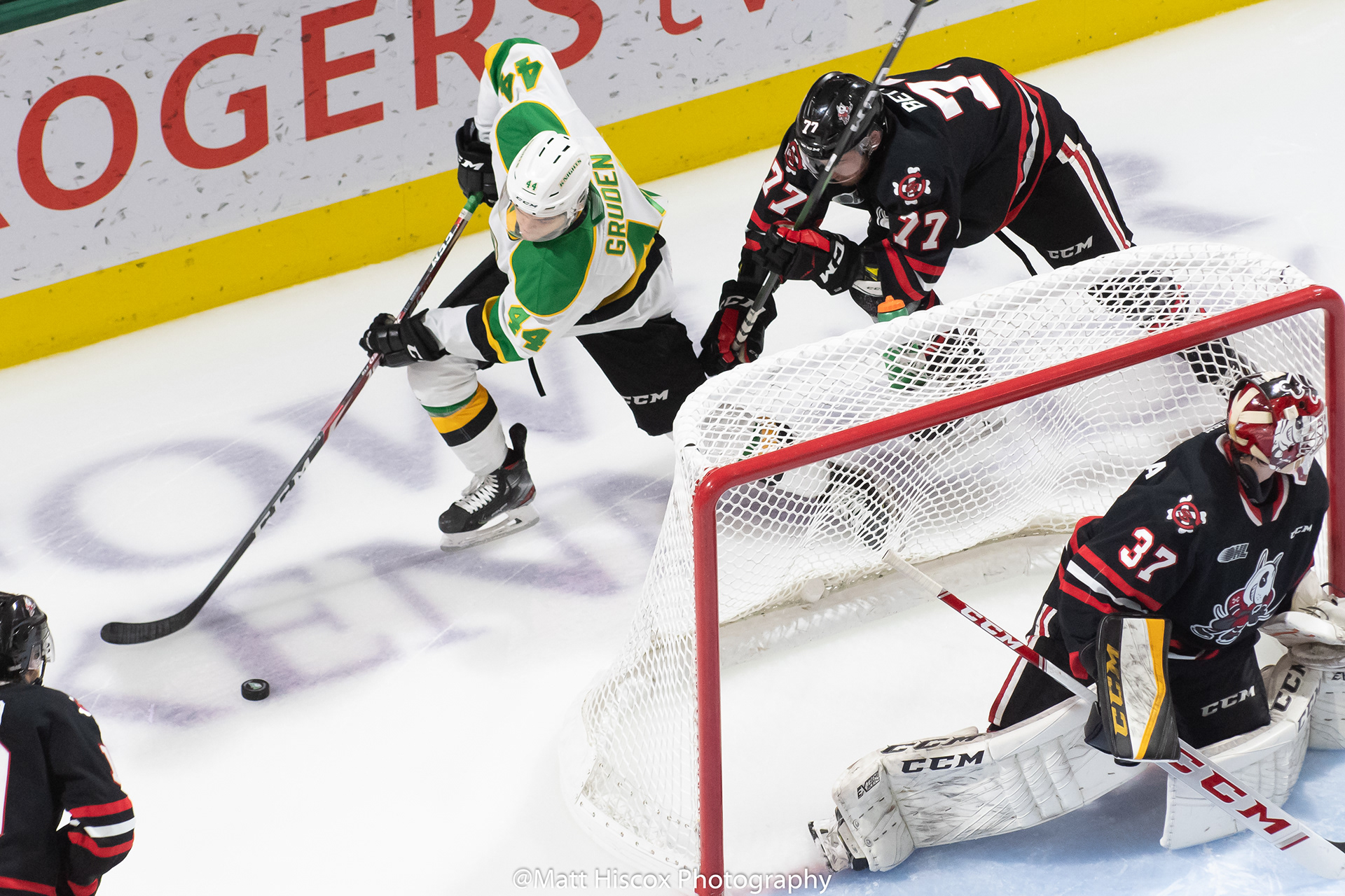 Matt Hiscox Photography - London Knights vs Niagara Ice ...