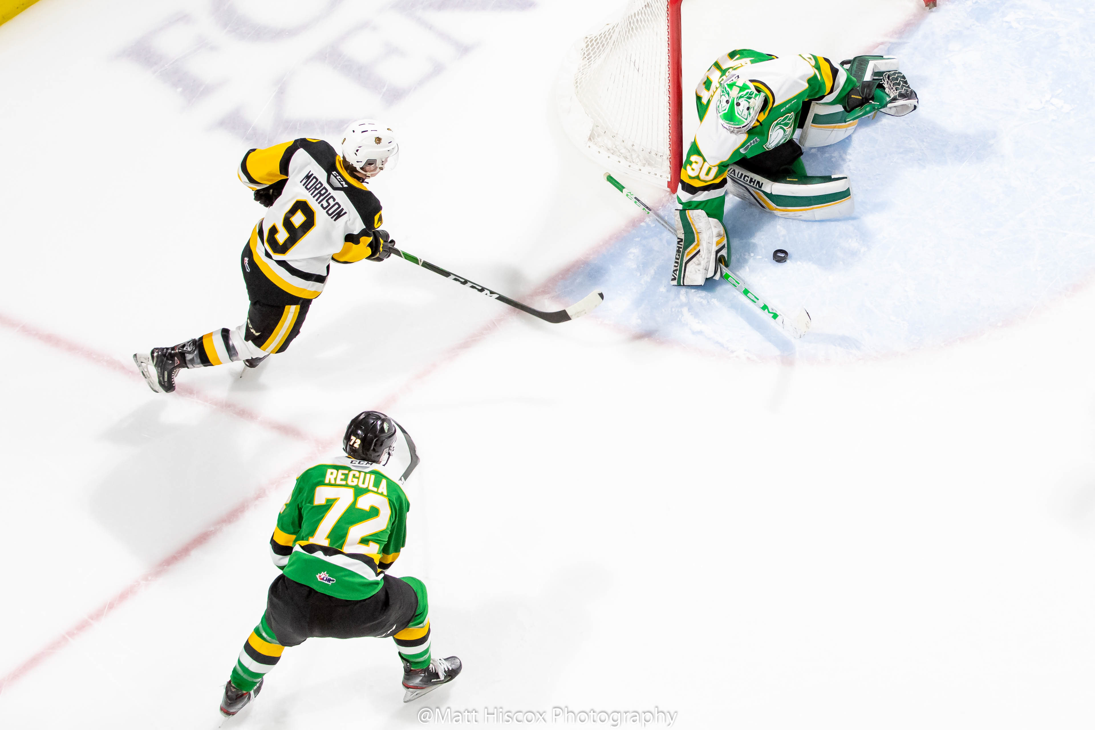 Matt Hiscox Photography - London Knights vs Hamilton Bulldogs (01. 24. 2020)