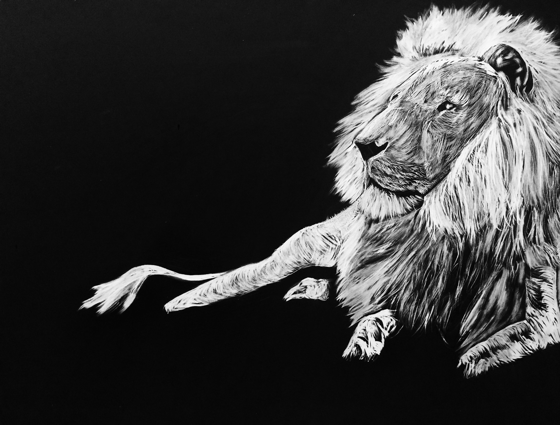 Wildlife collection- Sitting lion (2016)