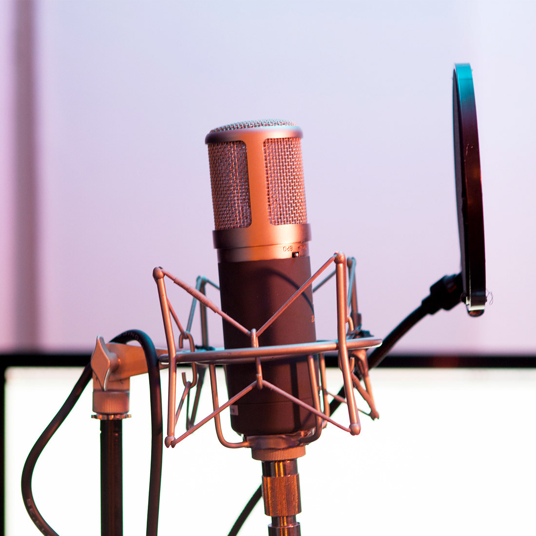 Mic: SEz5600a II