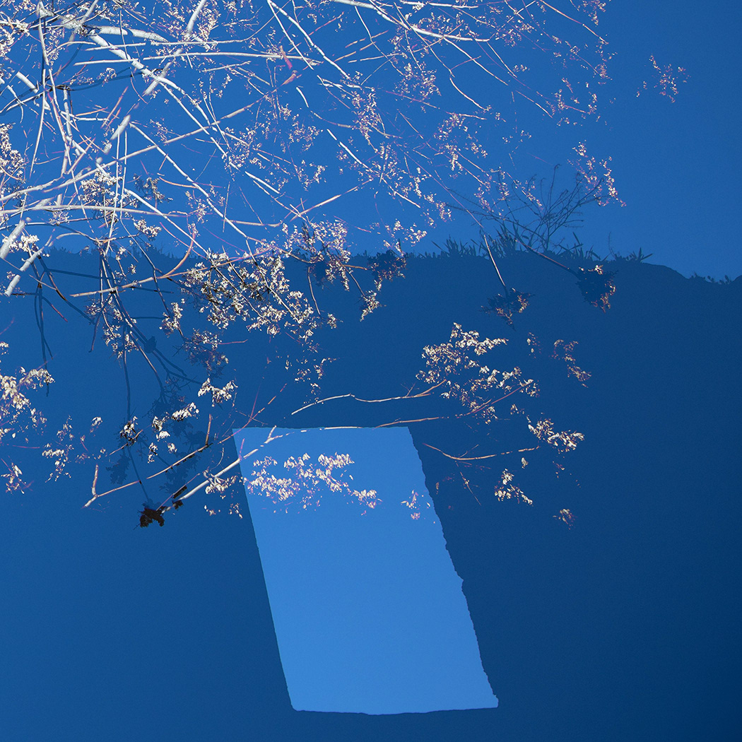 Skylight