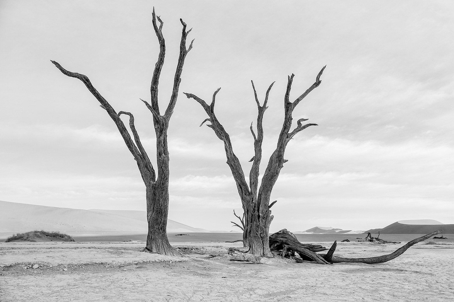 Dead Vlei Desolation, Namibia