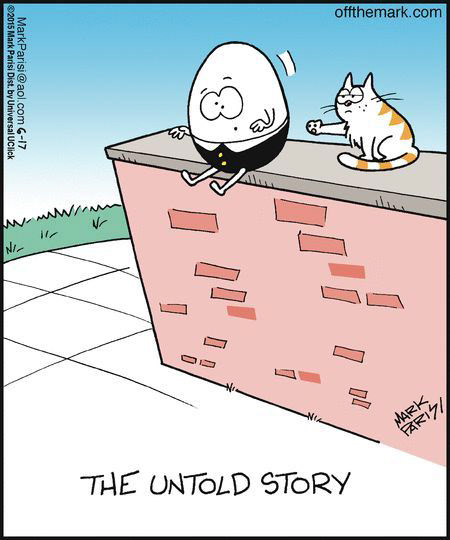 cat, cats, feline, humpty, dumpty, egg, pushed, wall, pets, curious, curiosity