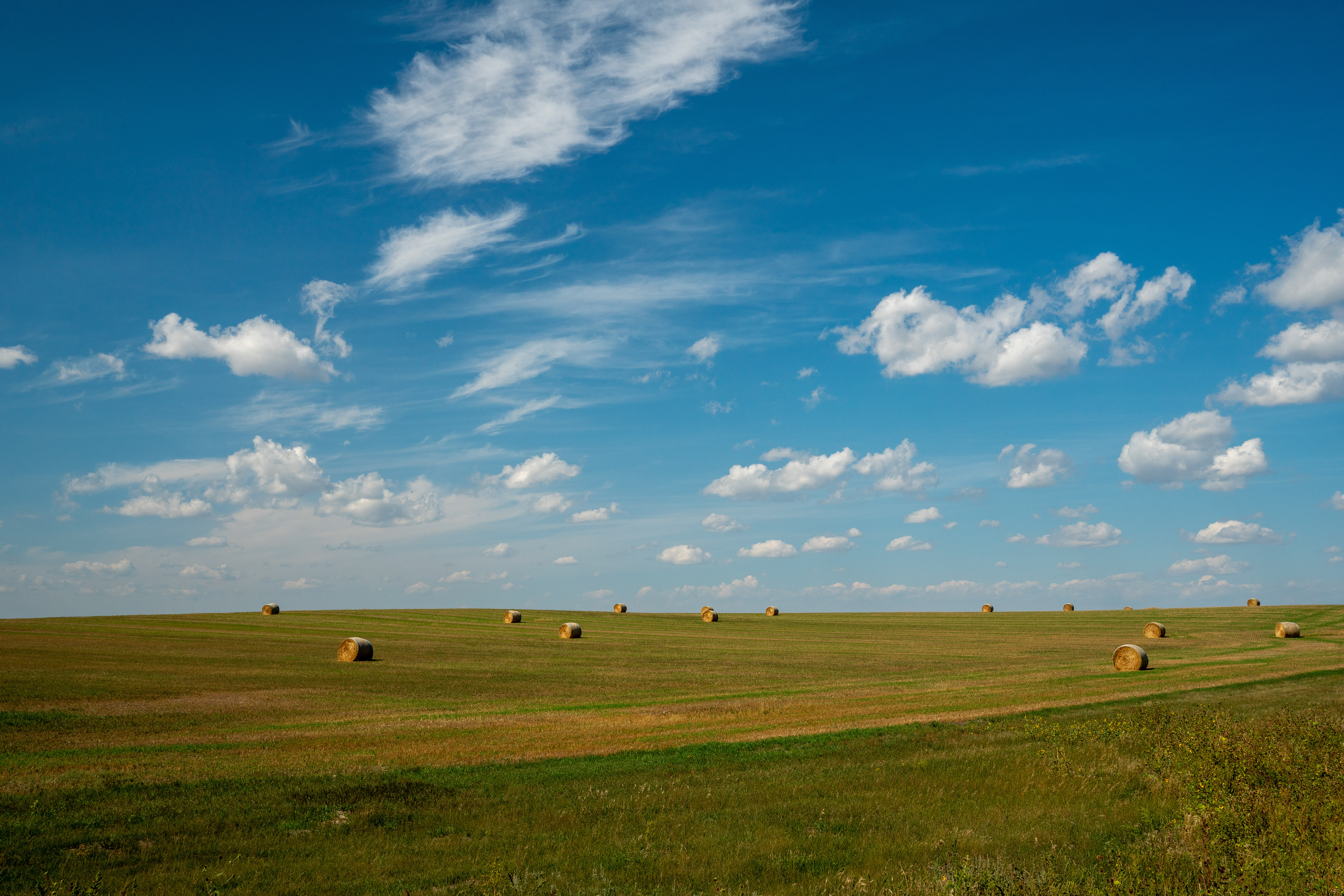 Dakota Plains