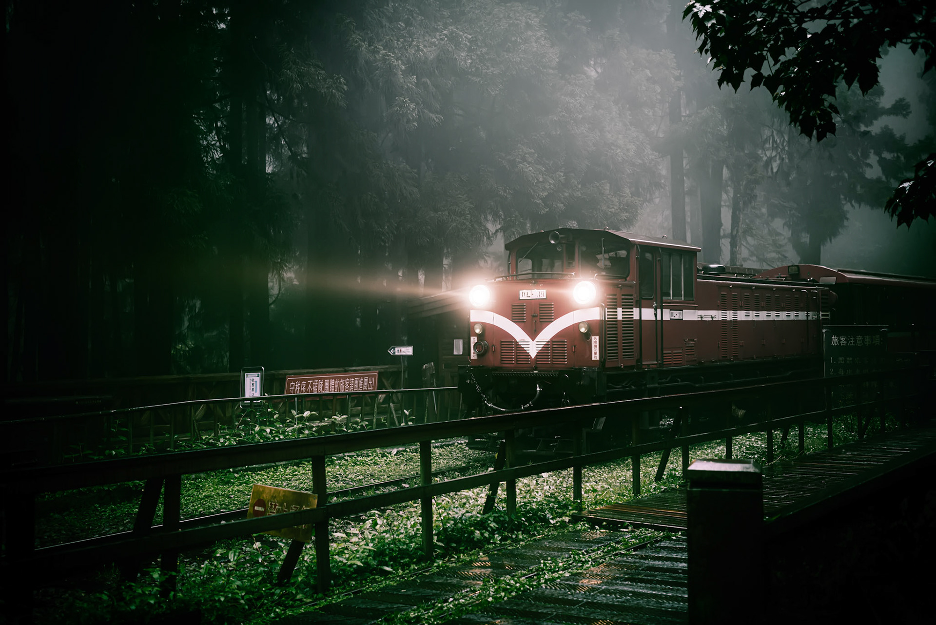 A view of the train in the Alishan National Scenic Area in Taiwan.