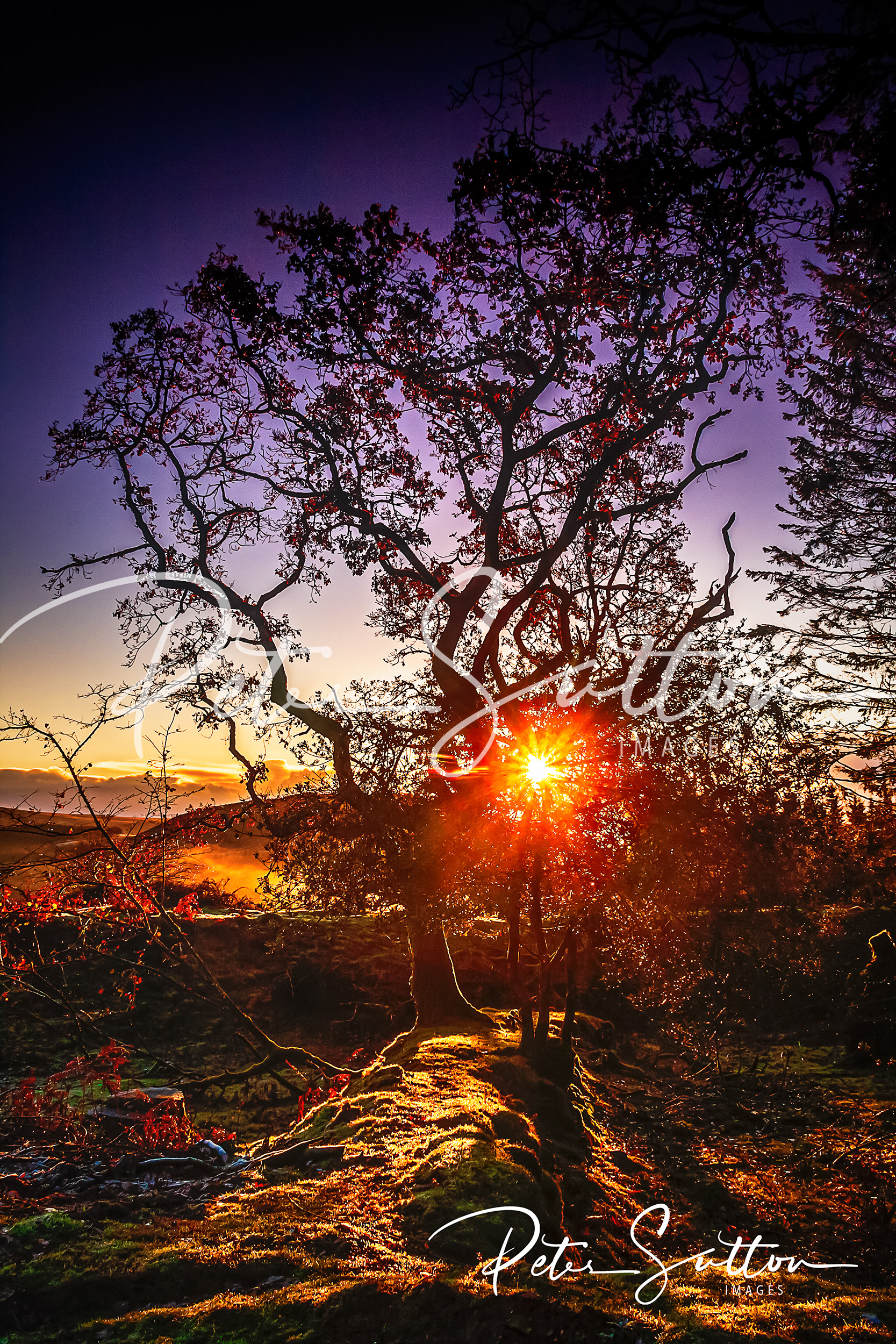 Sunrise On Dartmoor