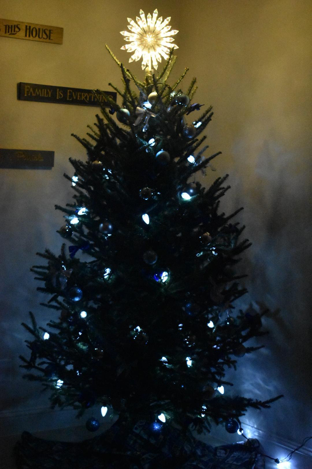 Photography - Christmas