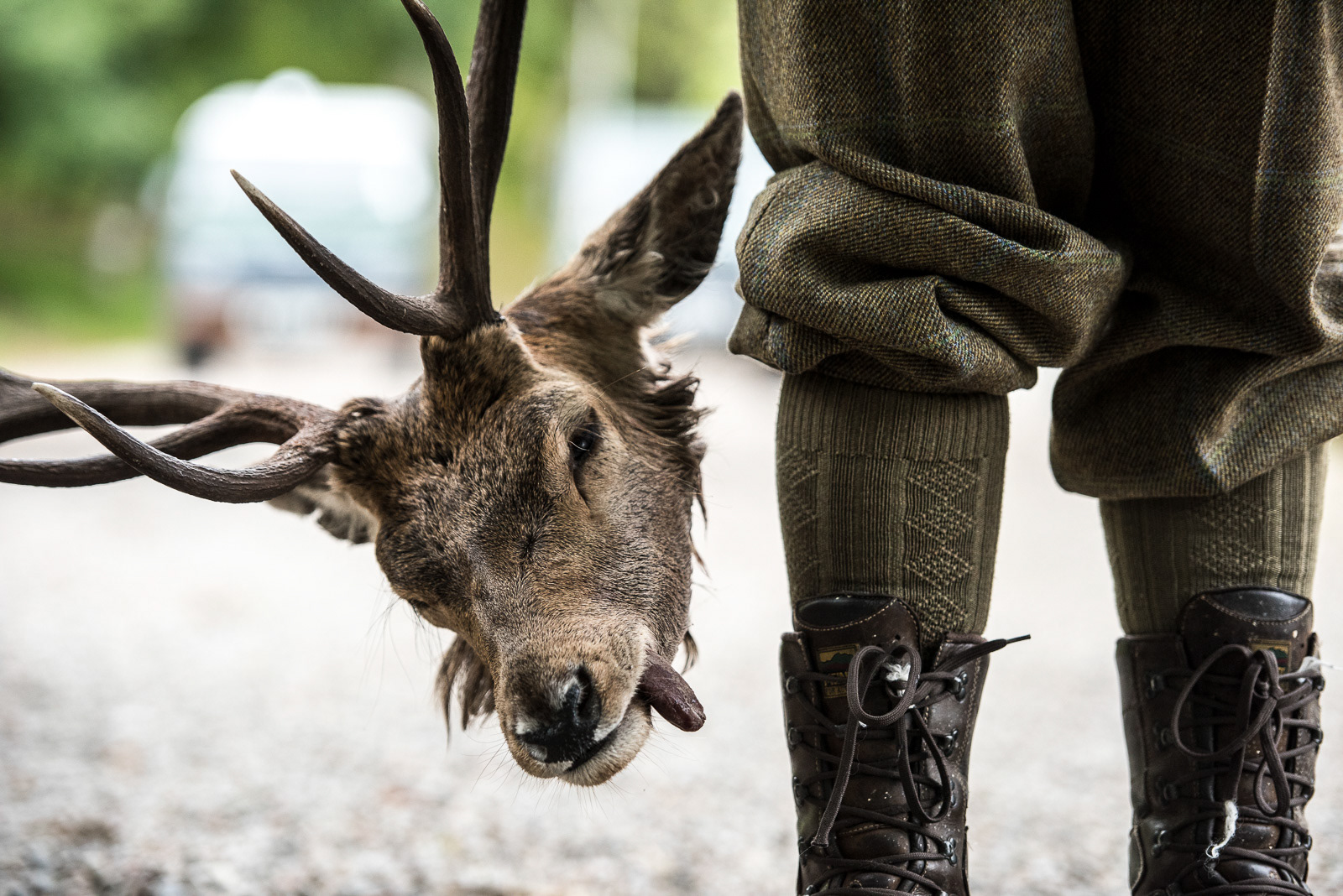 Shooting for Kinloch Lodge in Scotland - photo Martin Kaufmann