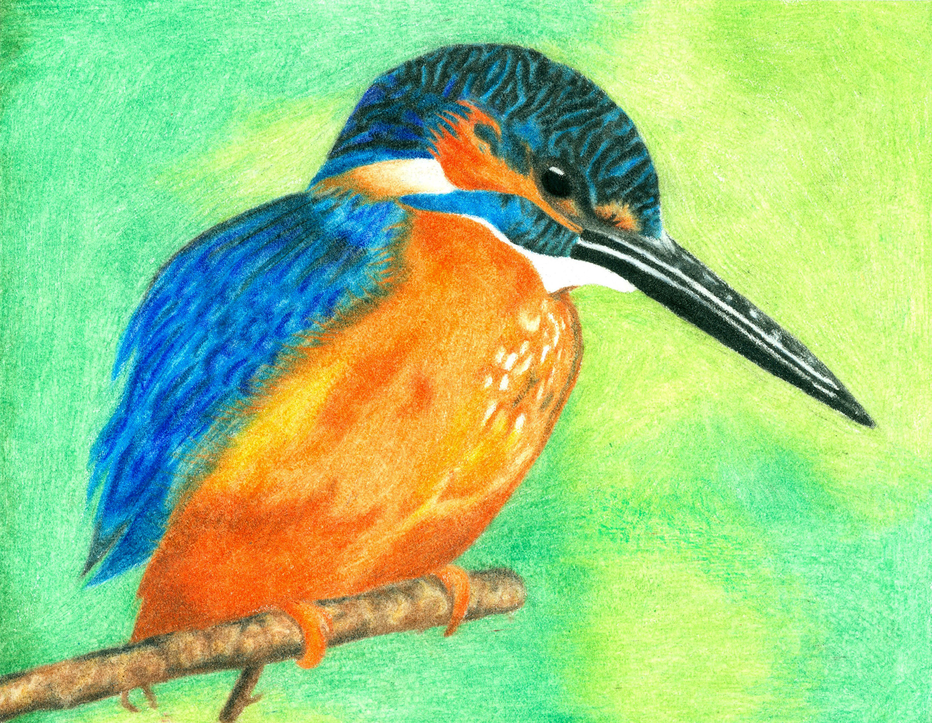 Colored Pencil—Non-Original Image