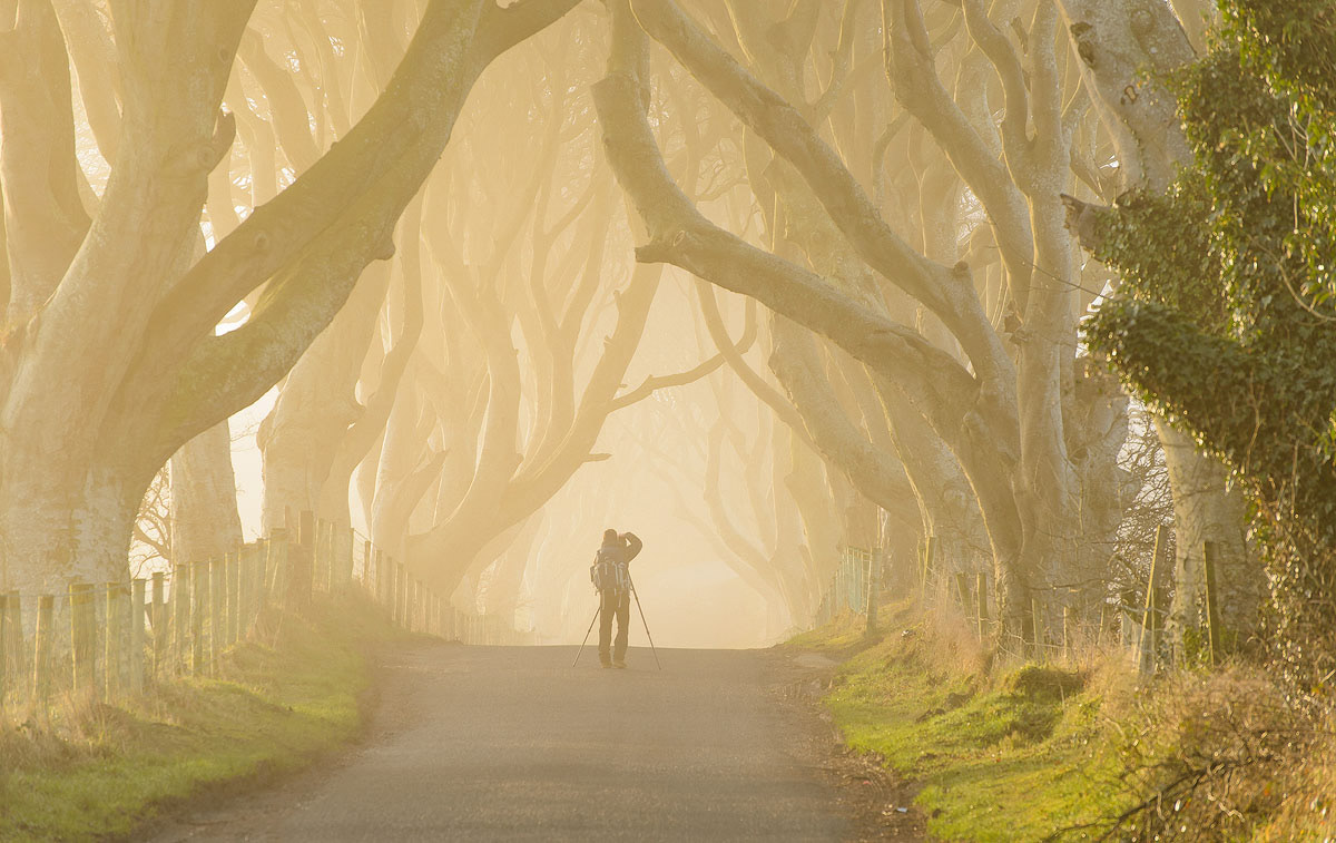 Dark Hedges | Irlanda de Nord