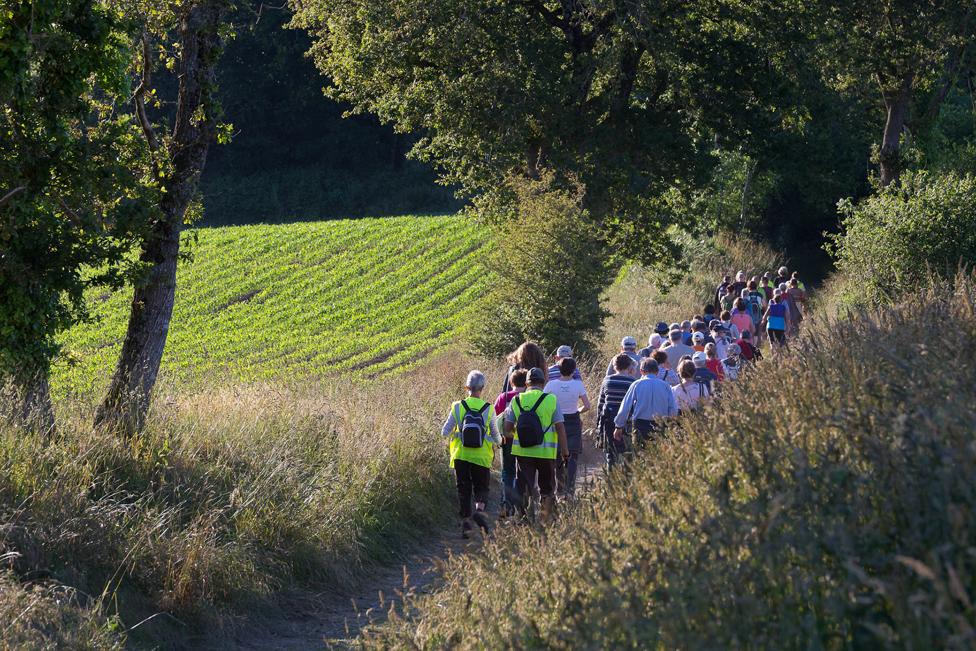 Les soirées de l'environnement qui permettent à tout un chacun de découvrir de belles randonnées sur le territoire de Quimper Communauté.