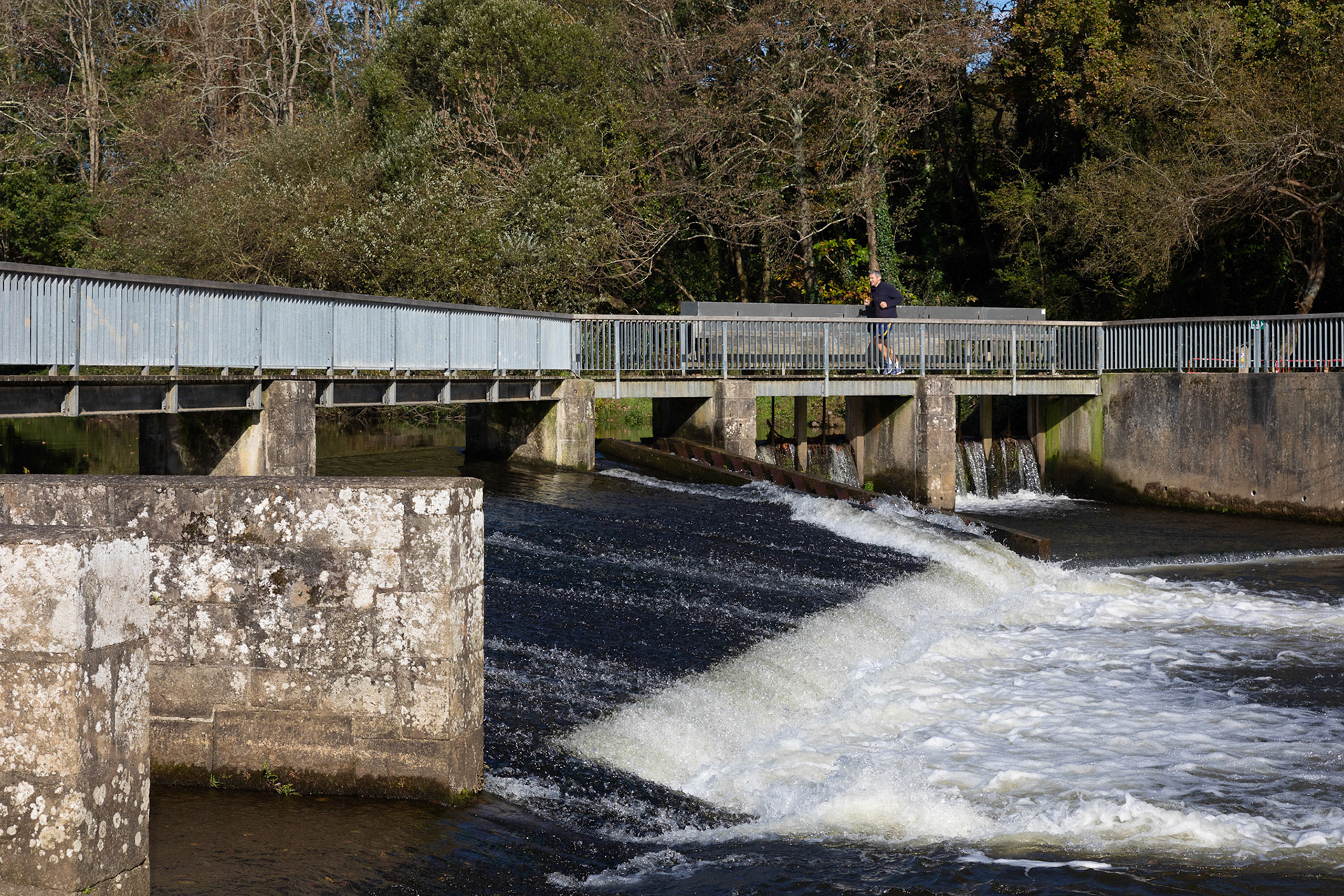 Le barrage du Steïr du Moulin Vert fait obstacle à la rivière. Il fait l'office d'une étude du sivalodet pour étudier ses nuisances.