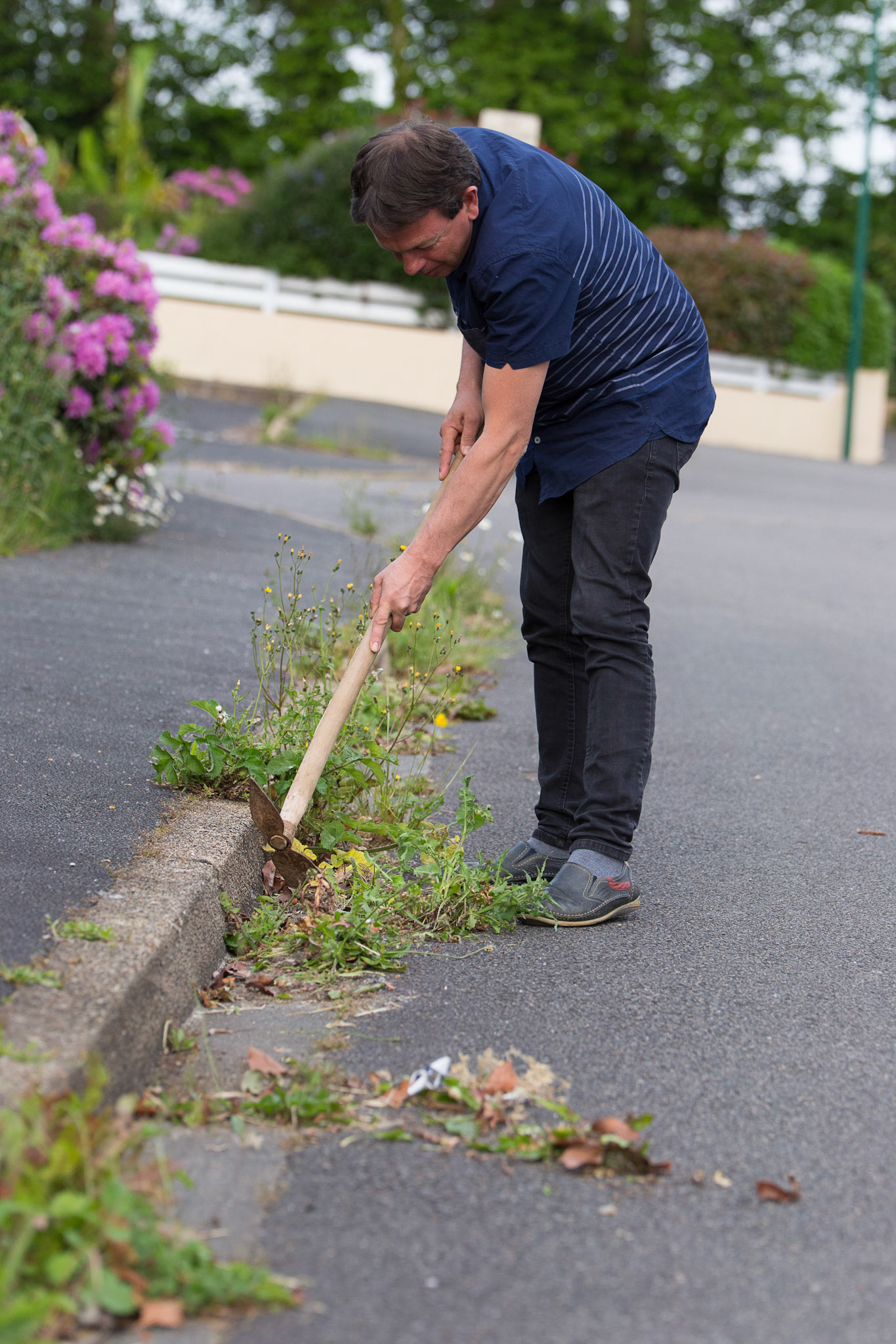 Un Quimpérois désherbe devant chez lui.
