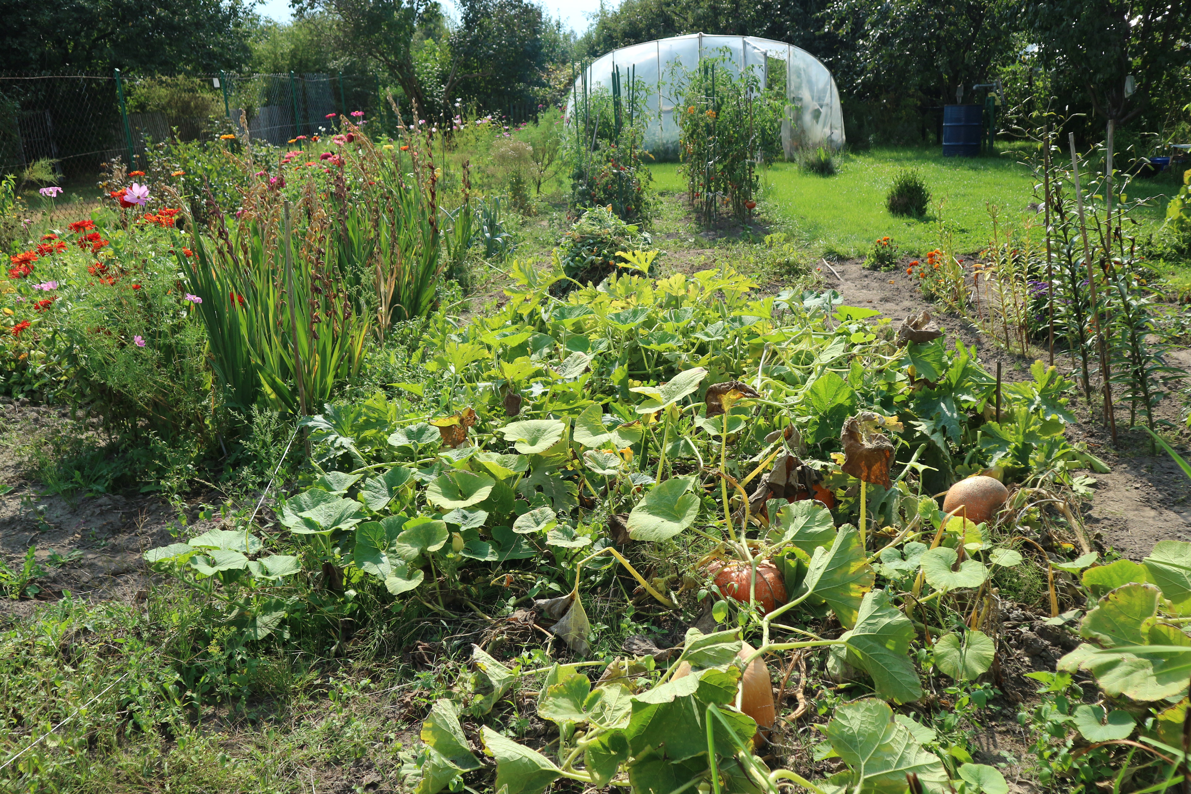 Communal Gardens in Radzyn Podlaski