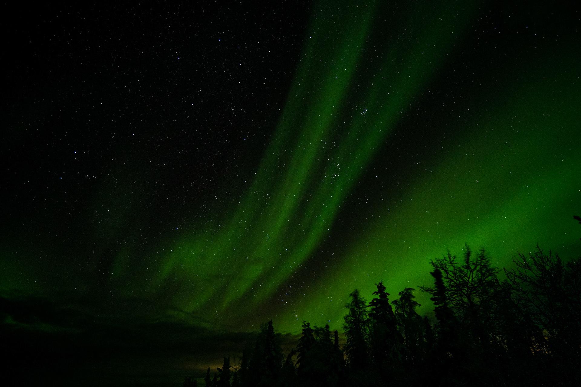 Aurora borealis at Wickersham dome
