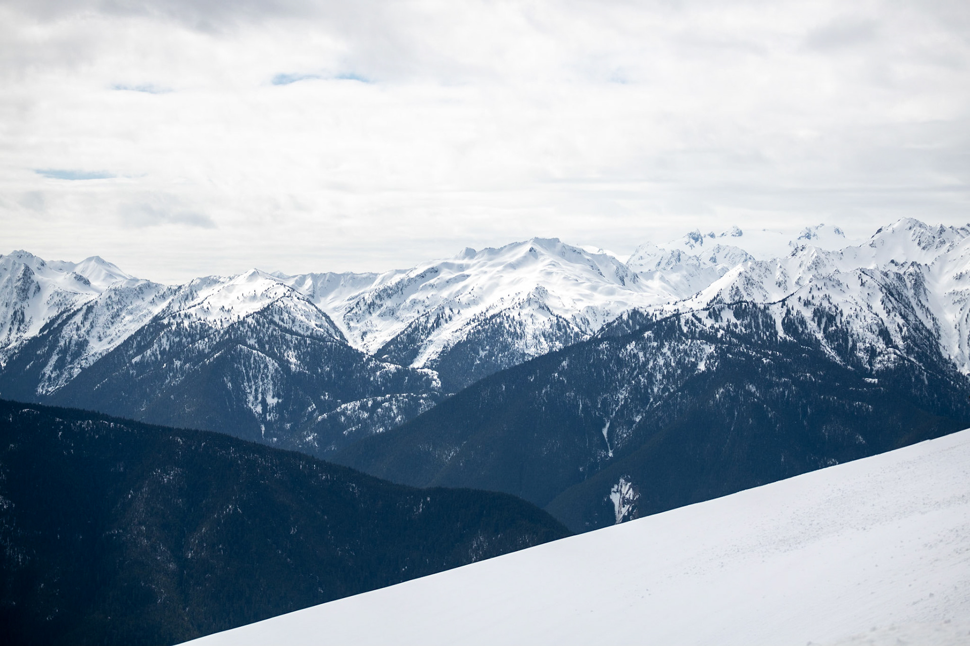 Hurricane Ridge