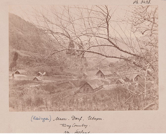 Maori village (kainga) Utapu, King Country. (Collection Andreas Reischek). Vienna World Museum, photo 3.438